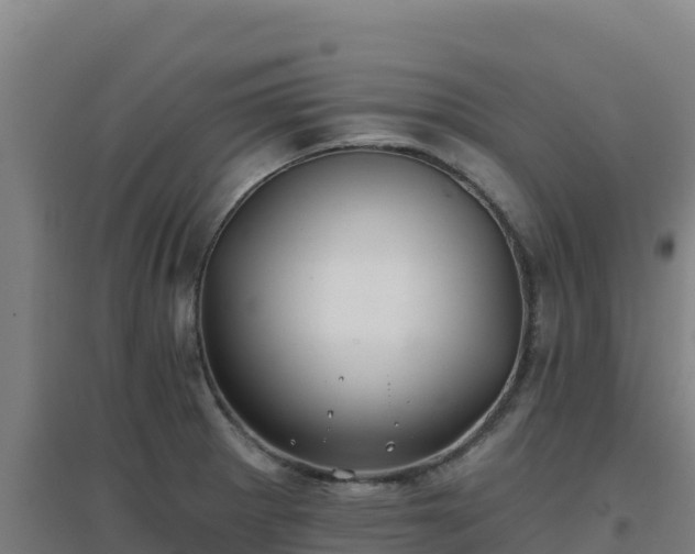 X0000096721281200802121240