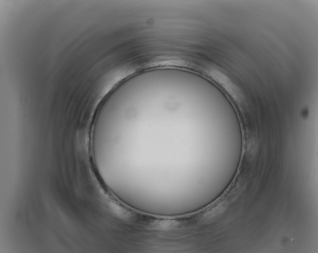 X0000096721282200802121240