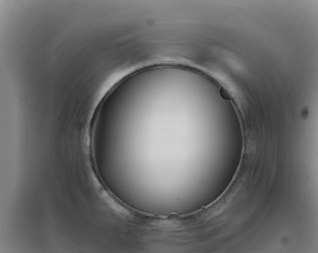 X0000096721287200802121240