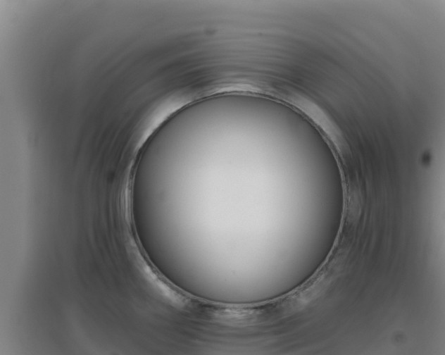 X0000096721290200802121240