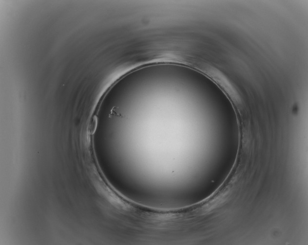 X0000096721292200802121240