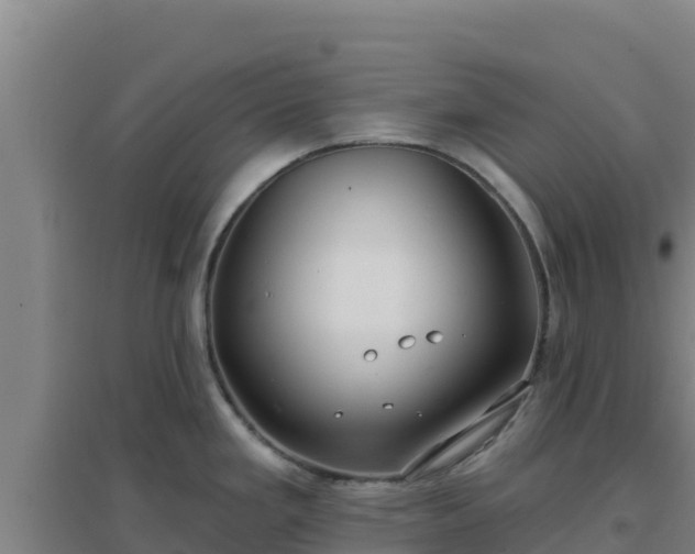 X0000096721293200802121240