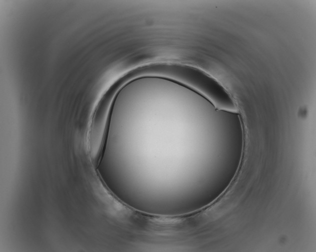 X0000096721296200802121240