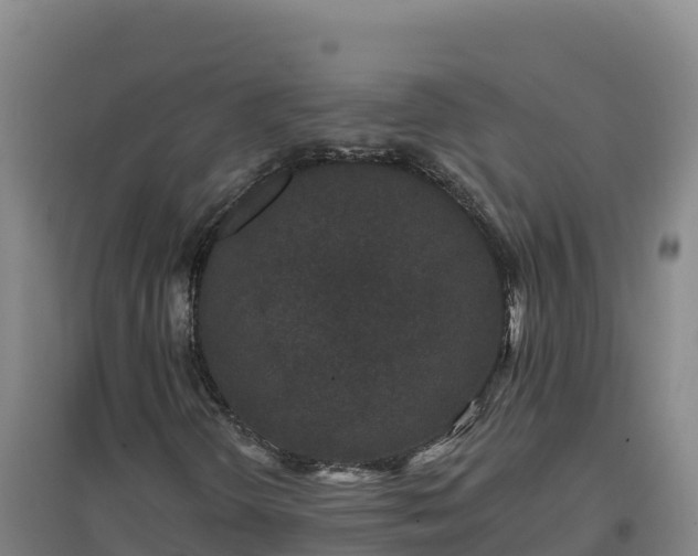 X0000096721298200802121239