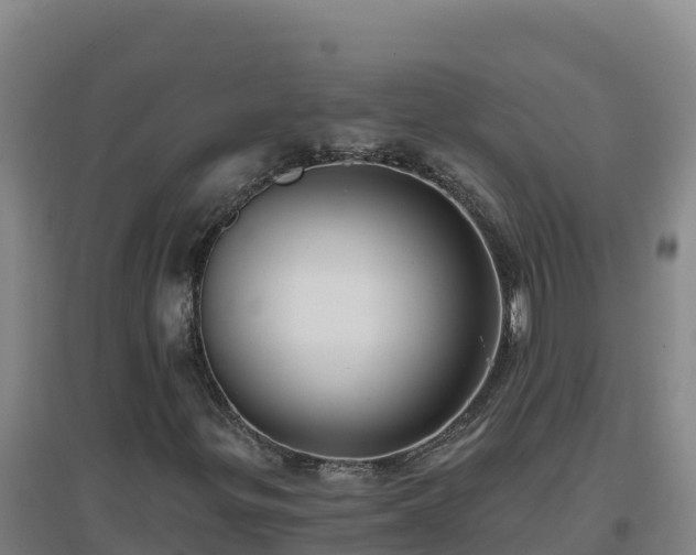 X0000096721299200802121239