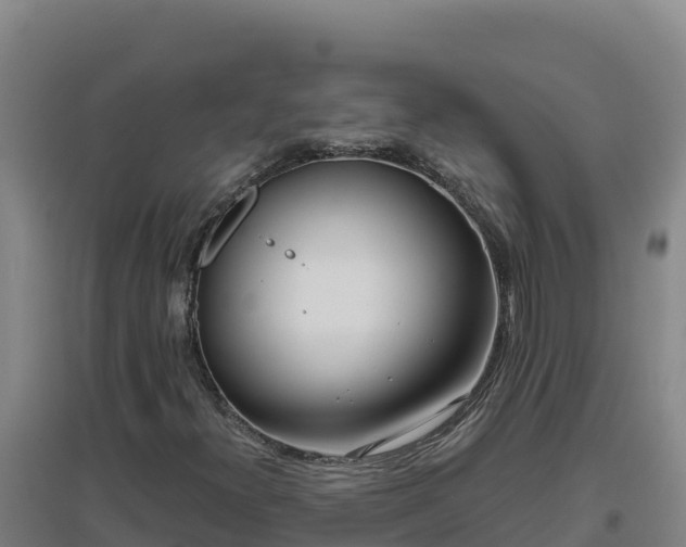 X0000096721300200802121239