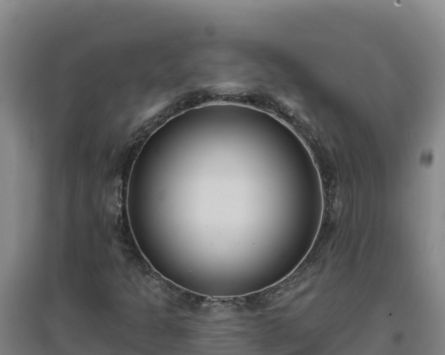 X0000096721301200802121239