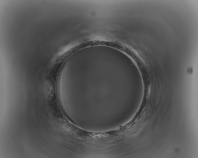 X0000096721303200802121239