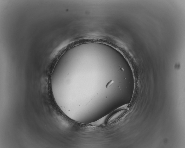 X0000096721304200802121239