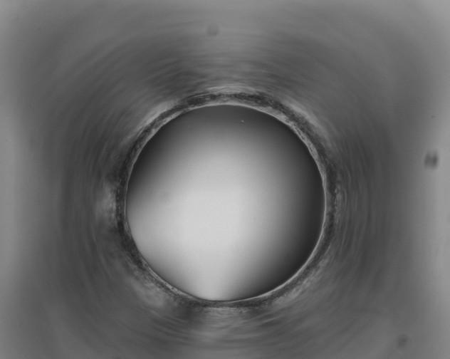 X0000096721305200802121239