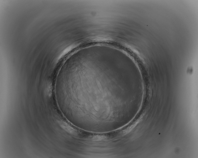 X0000096721306200802121239