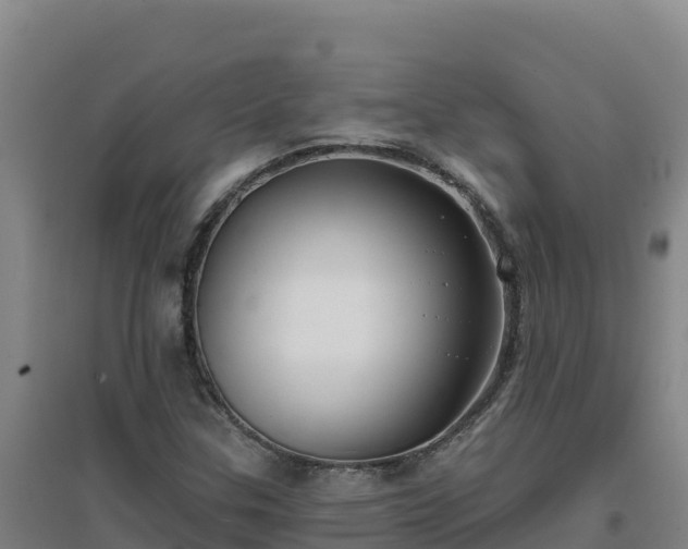 X0000096721307200802121239
