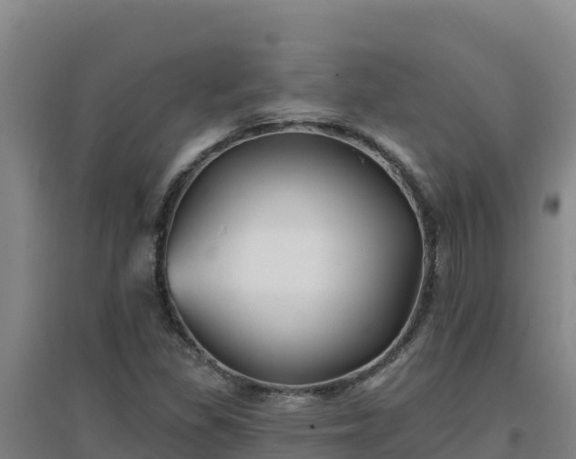 X0000096721309200802121239