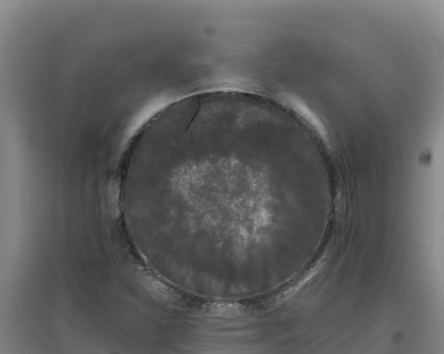 X0000096721310200802121239