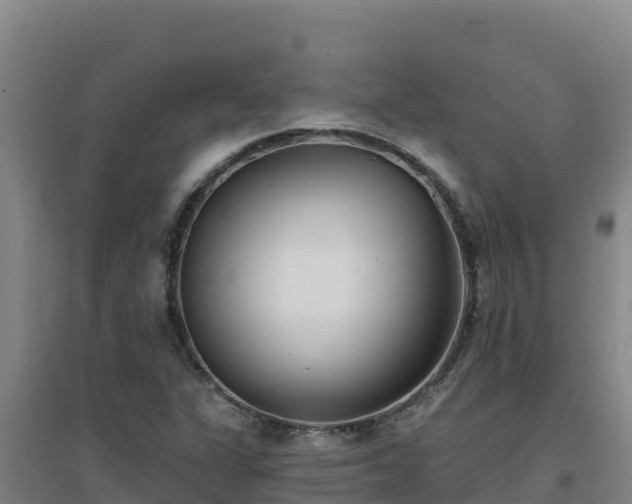 X0000096721311200802121239