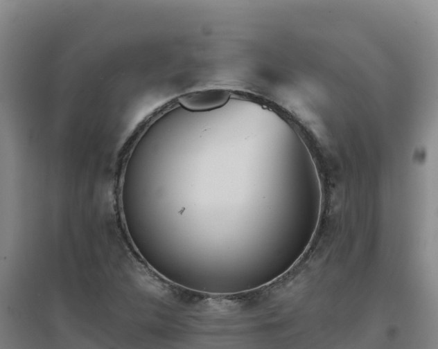 X0000096721312200802121239