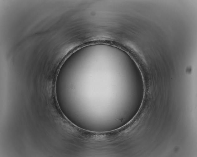 X0000096721313200802121239