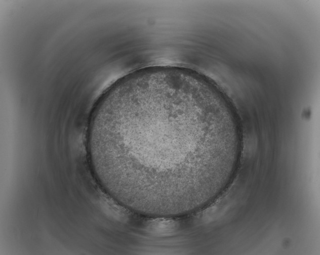 X0000096721314200802121239