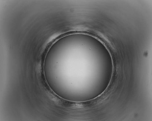 X0000096721315200802121239