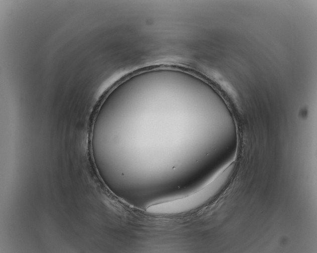 X0000096721316200802121239