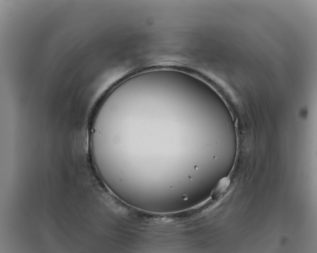 X0000096721317200802121239