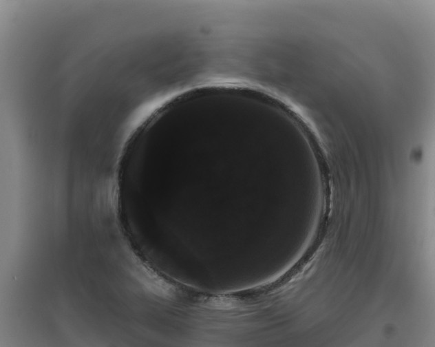 X0000096721319200802121239