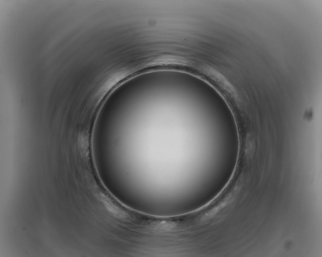X0000096721321200802121239