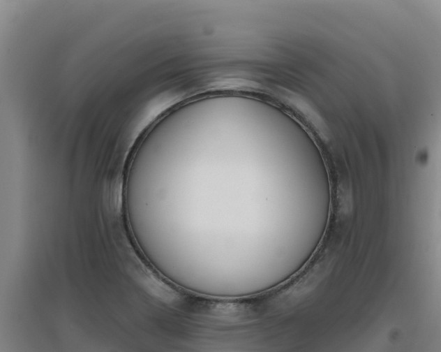 X0000096721322200802121239