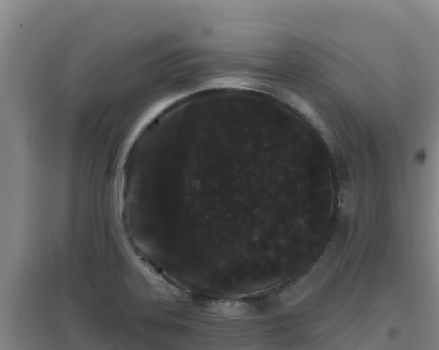 X0000096721323200802121239