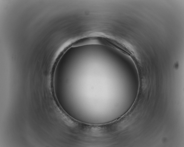 X0000096721326200802121239