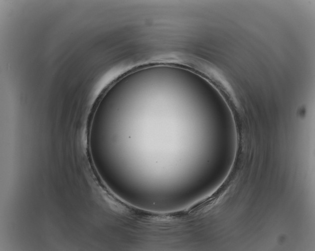 X0000096721328200802121239