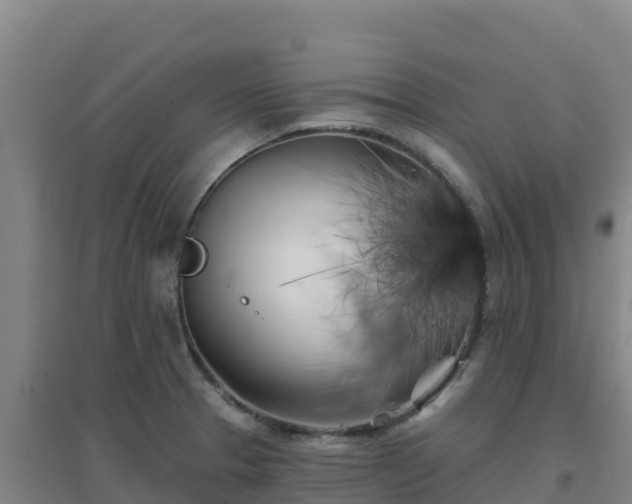 X0000096721329200802121239