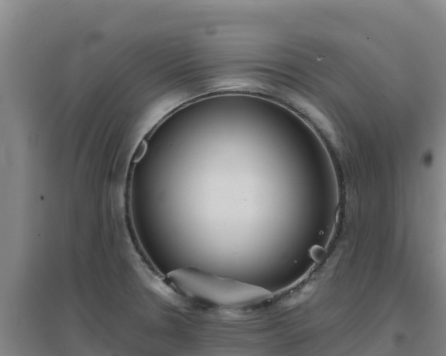 X0000096721330200802121239