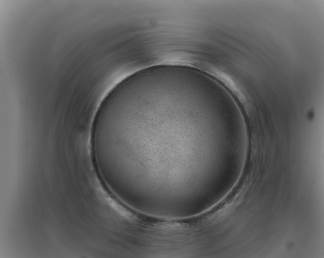 X0000096721331200802121239