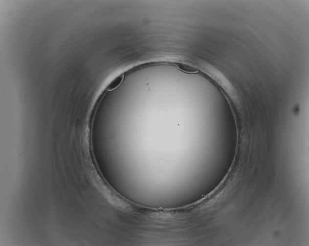 X0000096721332200802121239