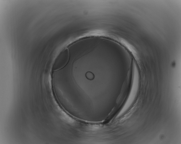 X0000096721334200802121239
