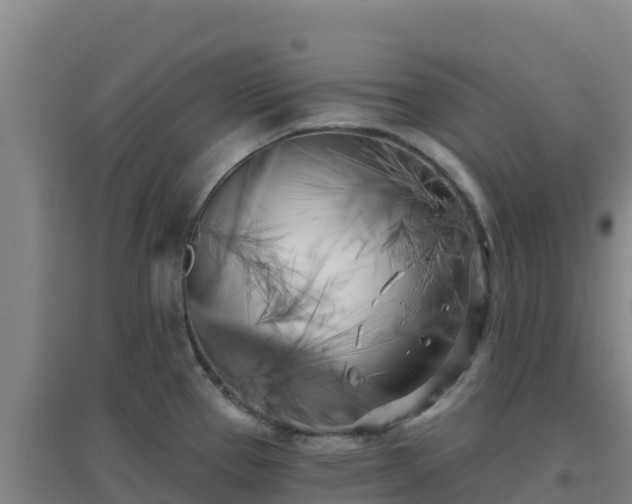 X0000096721337200802121239