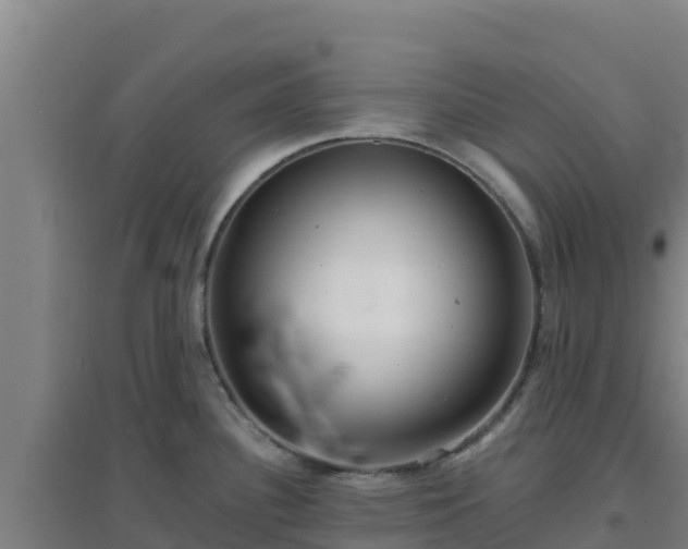 X0000096721340200802121239