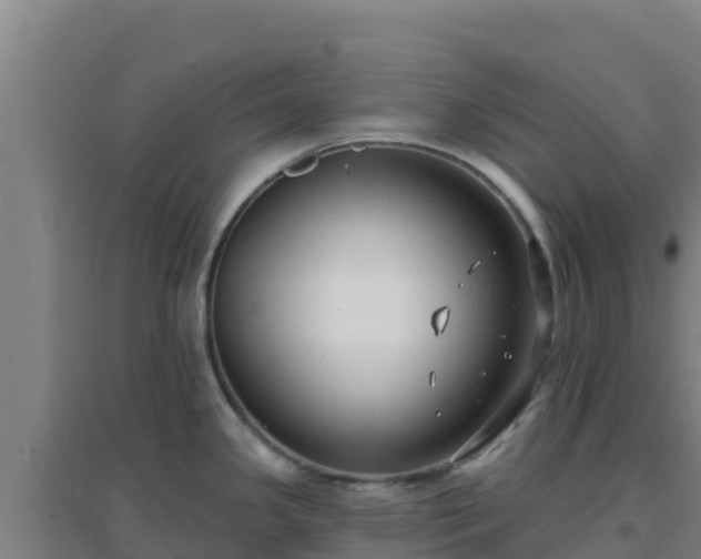 X0000096721341200802121239