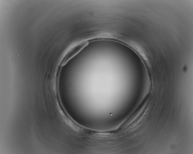 X0000096721342200802121239
