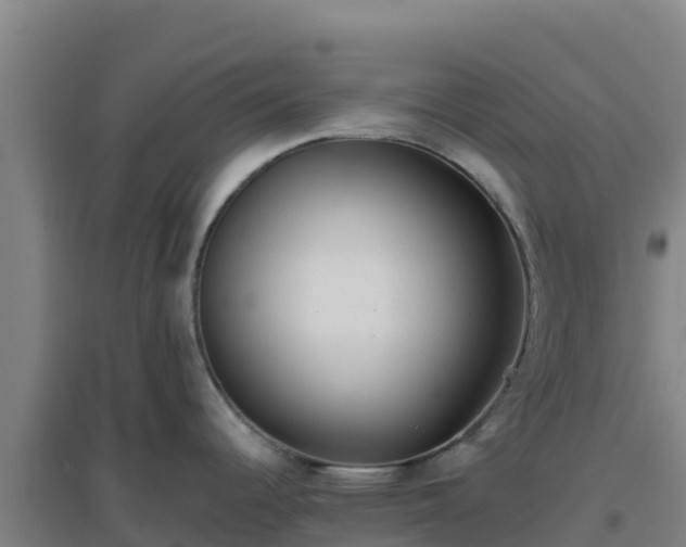 X0000096721344200802121240