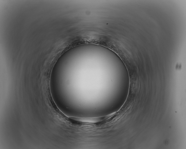X0000096721345200802121239