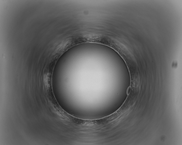 X0000096721346200802121239