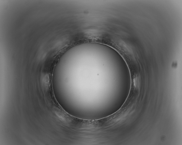 X0000096721347200802121239