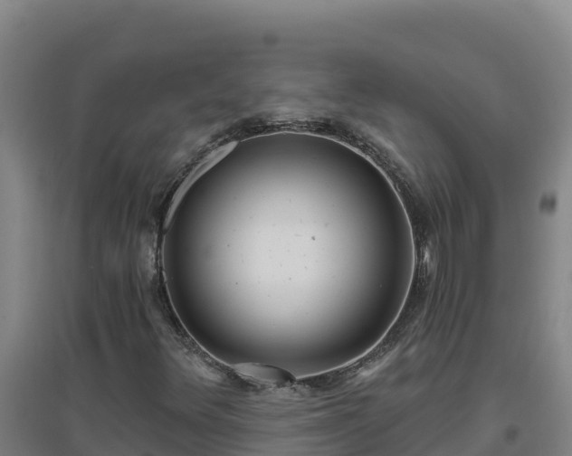 X0000096721348200802121239