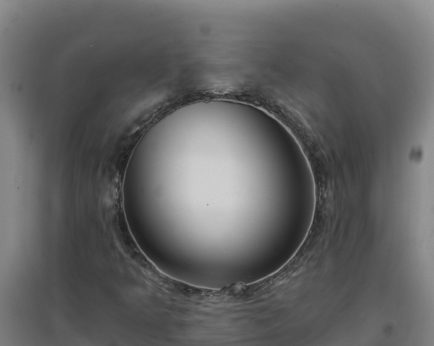 X0000096721349200802121239