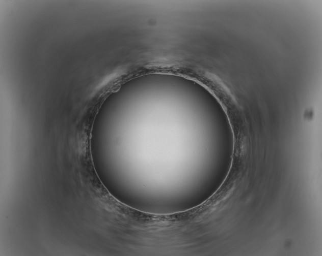 X0000096721350200802121239