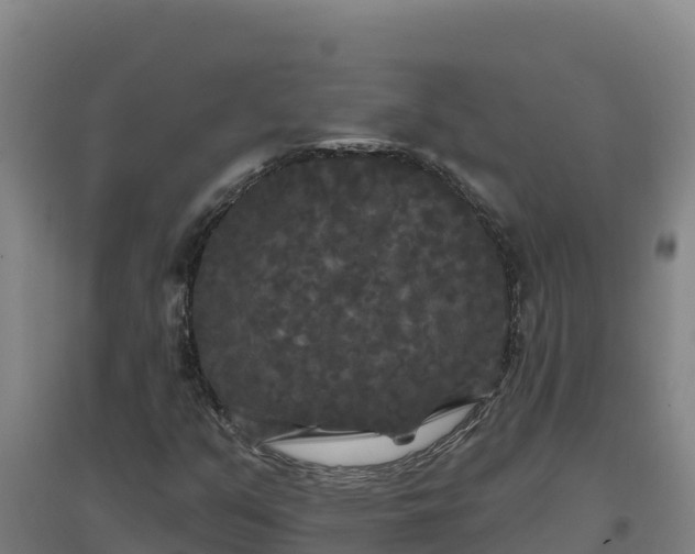 X0000096721351200802121239