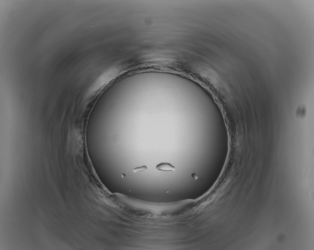 X0000096721354200802121239