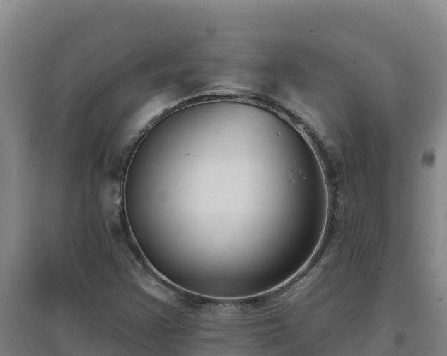 X0000096721355200802121239